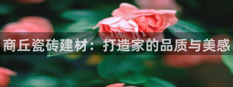 杏鑫平台列7O777