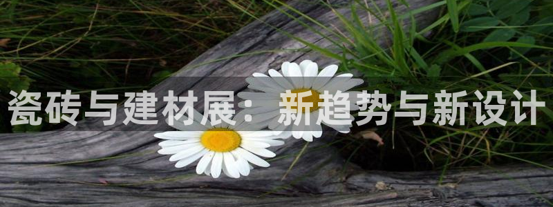 杏鑫平台注册入口