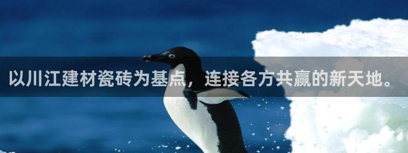 杏鑫官网注册账号密码