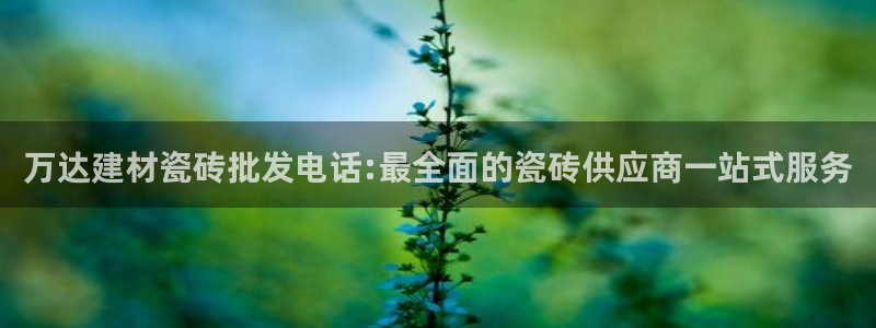 杏鑫平台登录地址在哪