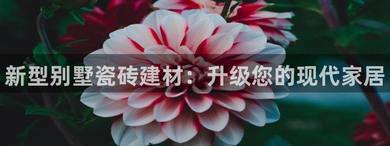 杏鑫平台怎么样黑钱吗是真的吗