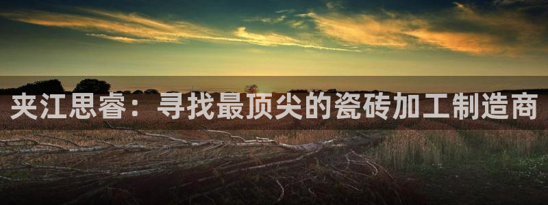 杏鑫平台代理注册登录不了怎么办呀