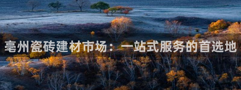 杏鑫官网注册账号怎么注册不了