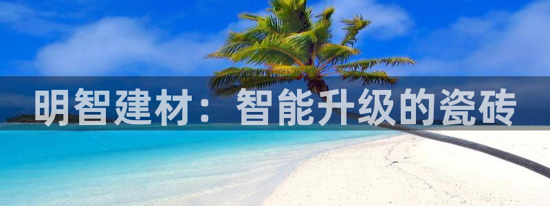 杏鑫平台代理注册流程及费用