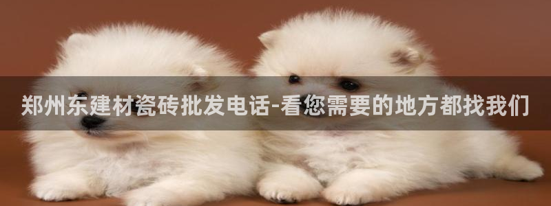 杏鑫平台代理怎么样可靠吗