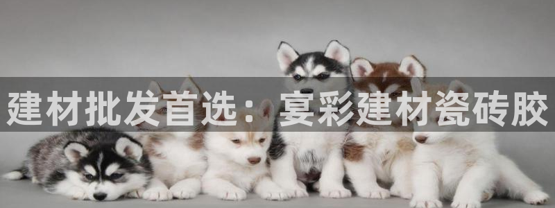 杏鑫平台怎么样知乎