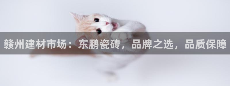 杏鑫平台代理怎么做