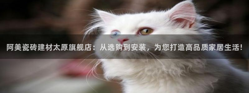 杏鑫平台是黑平台吗知乎